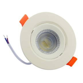 Nunc congue dui nec...