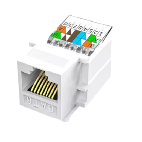 Nunc congue dui nec...